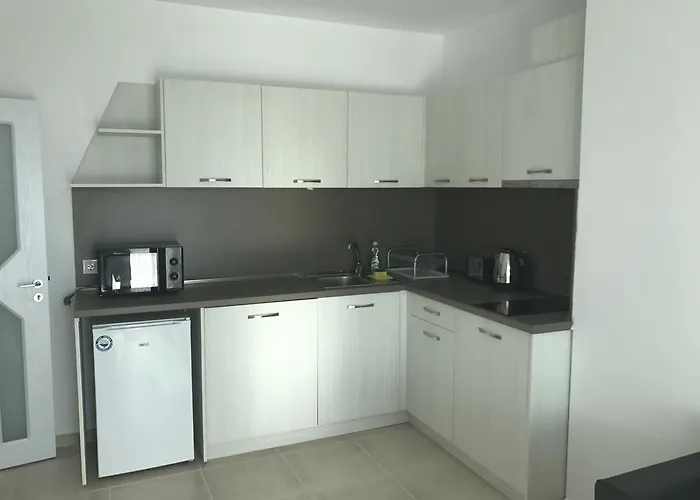 Sea Life Sinemorets Szinemorec